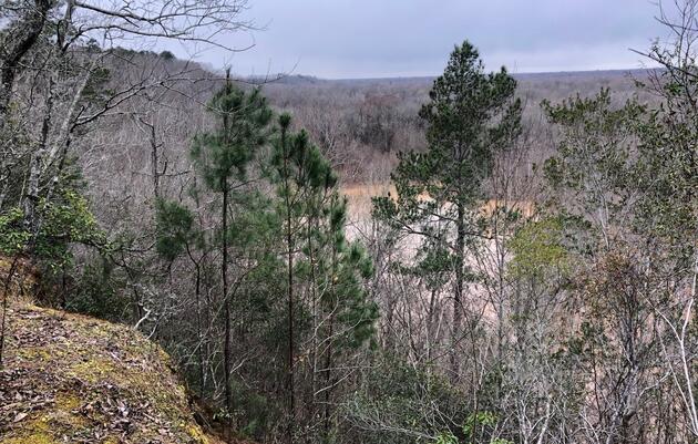 Nearly a Mile of Congaree River Frontage Permanently Protected