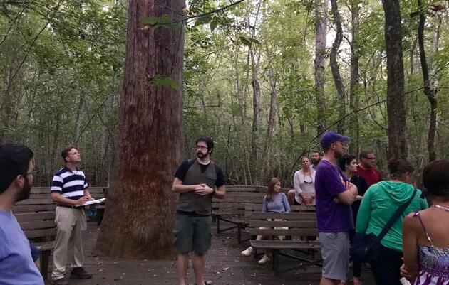 Francis Beidler Forest celebrates 50 years 