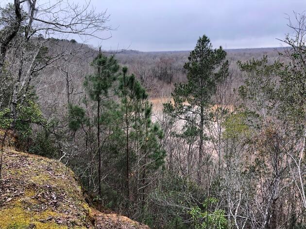 Bluffs give scenic view of Congaree National Park. They’re now protected from development.