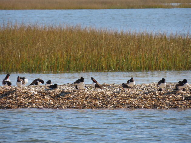 Building Resilient Communities with Nature