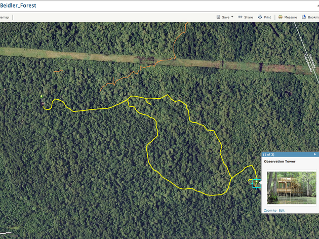 Virtual Tour of Francis Beidler Forest