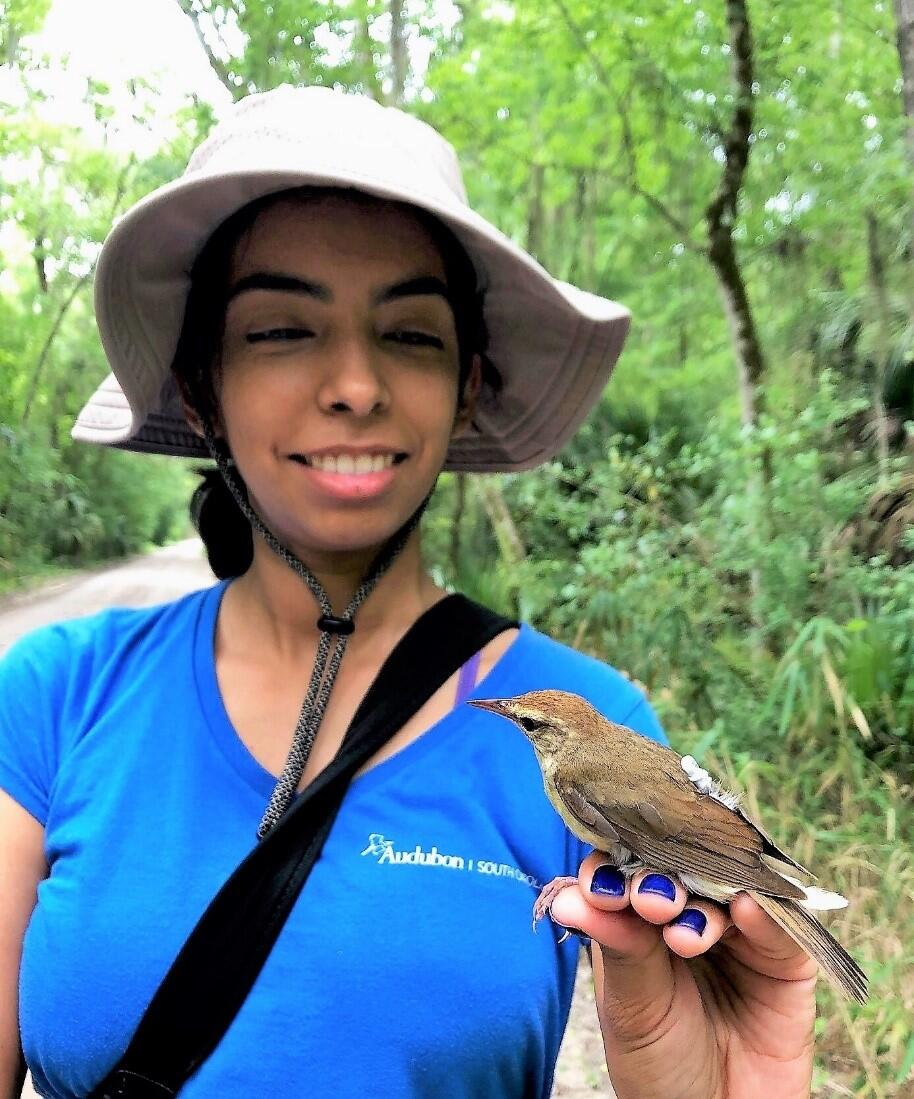A woman with a beige hat, blue shirt and blue finger nail polish is holding a Prothonotary Warbler nestling in her hands