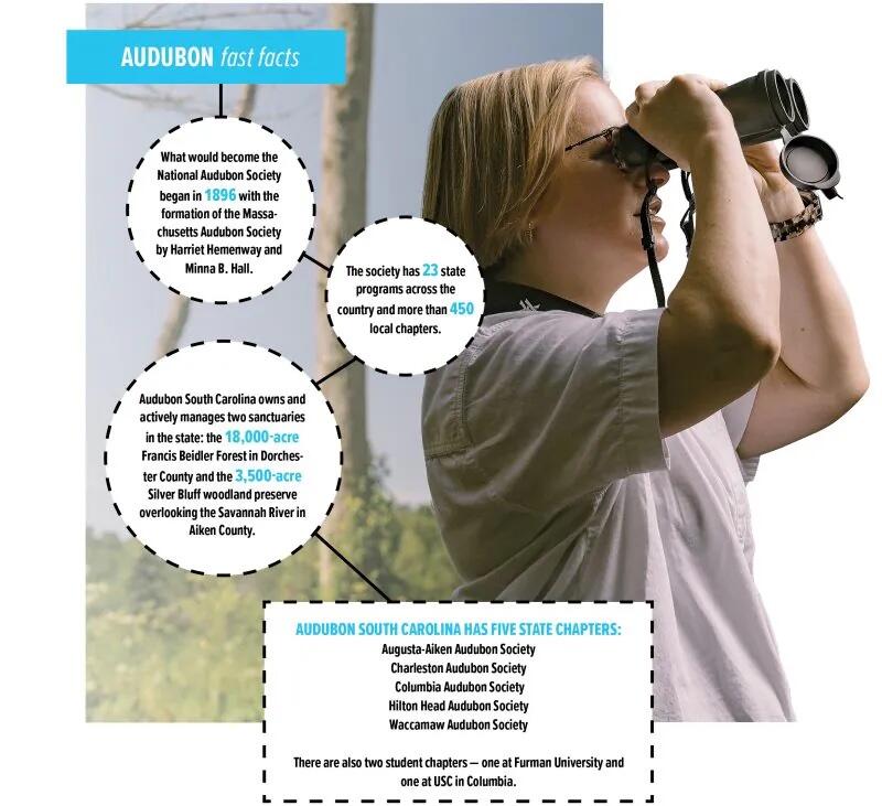A women looks through a pair of binoculars in an info graphic describing the work of Audubon South Carolina in the state, A women looks through a pair of binoculars in an info graphic describing the work of Audubon South Carolina in the state,