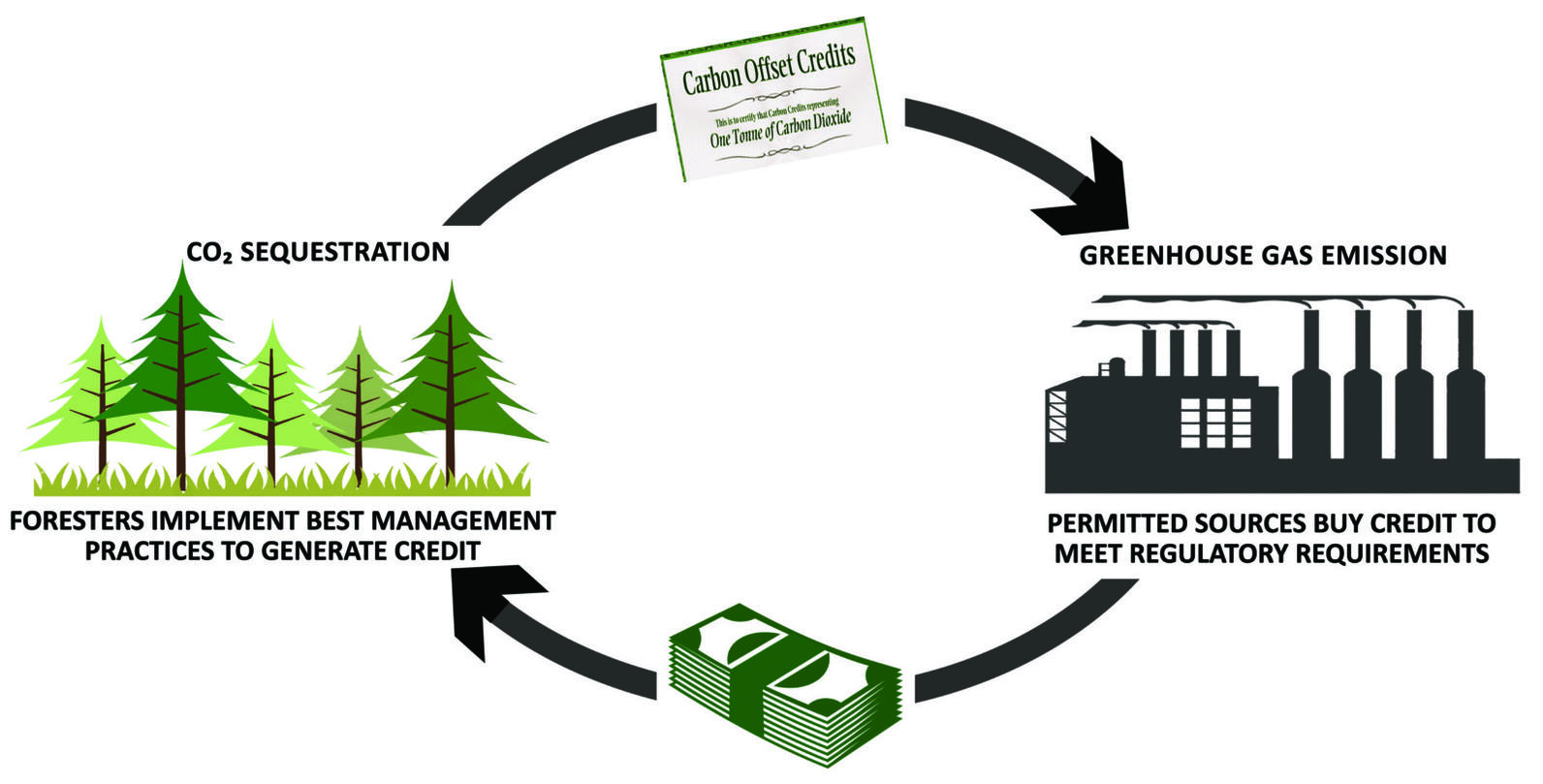 carbon offset