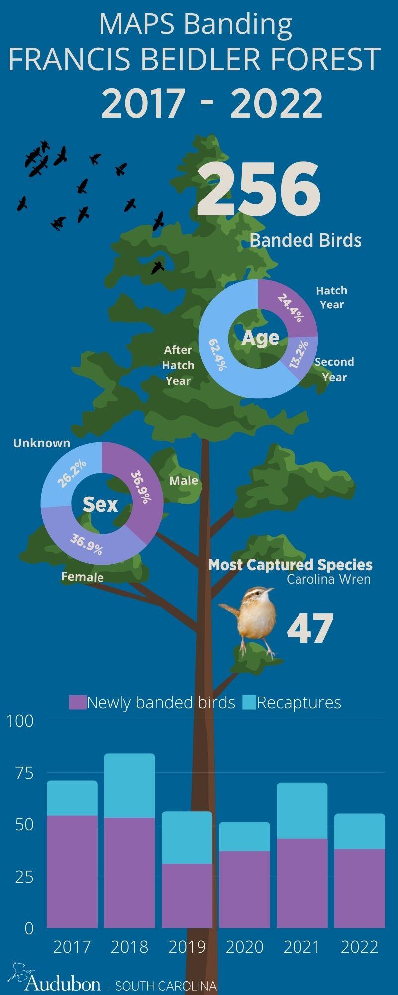 An info graphic with a large tree and statistics and graphs
