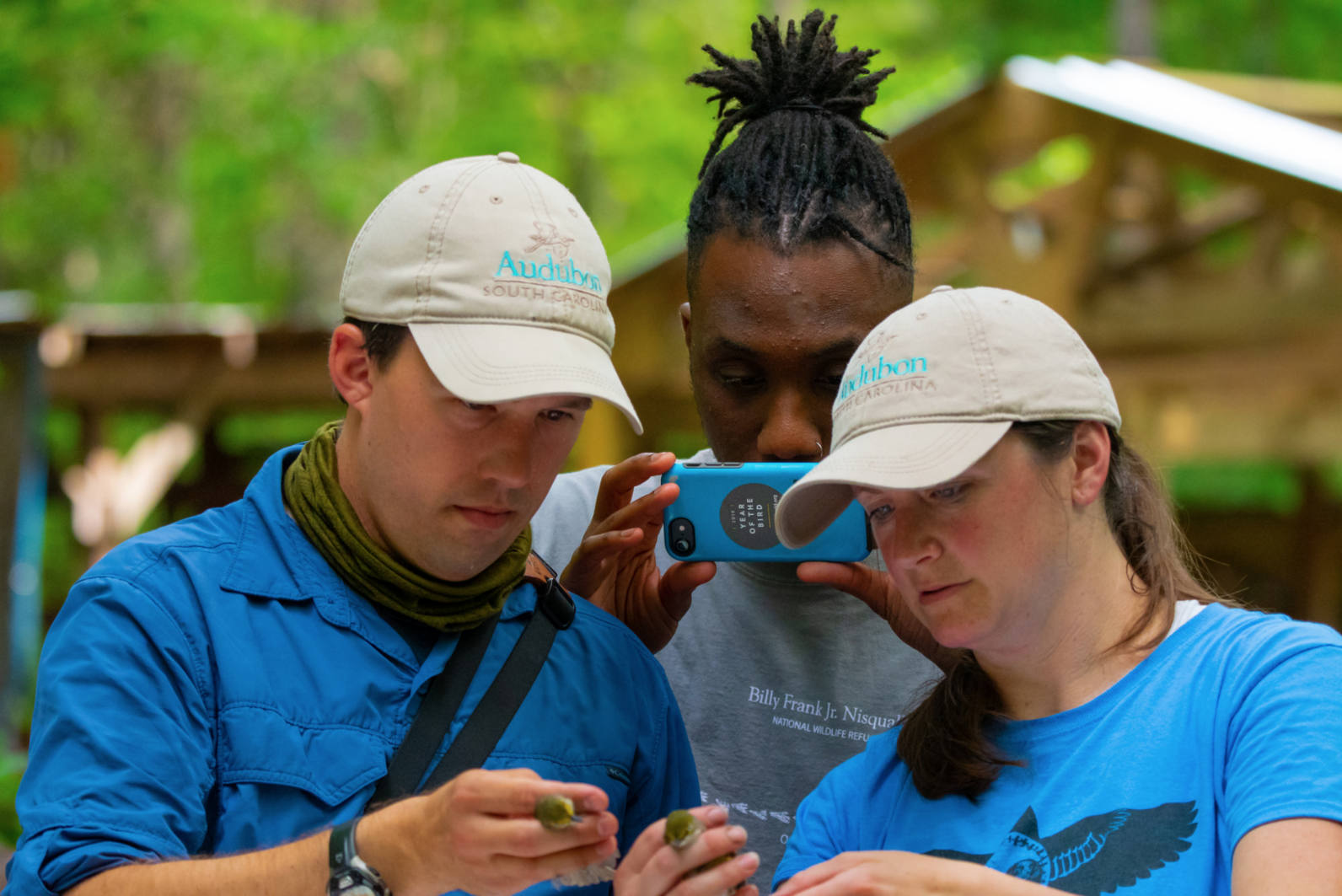 When several birds land in the mist nets at the same time, everybody springs into action. Matt and Jennifer were banding two White-eyed Vireos at once and enlisted Chris to take photographs to compare the two birds.