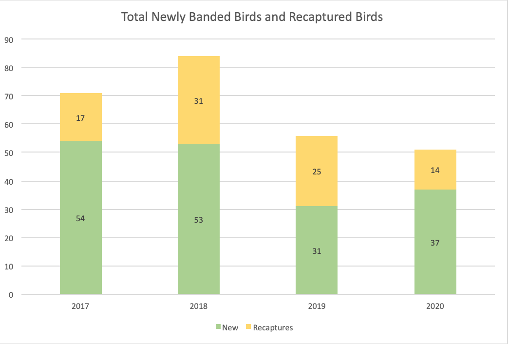 A graph showing the totals of 2017, 2018, 2019, and 2020