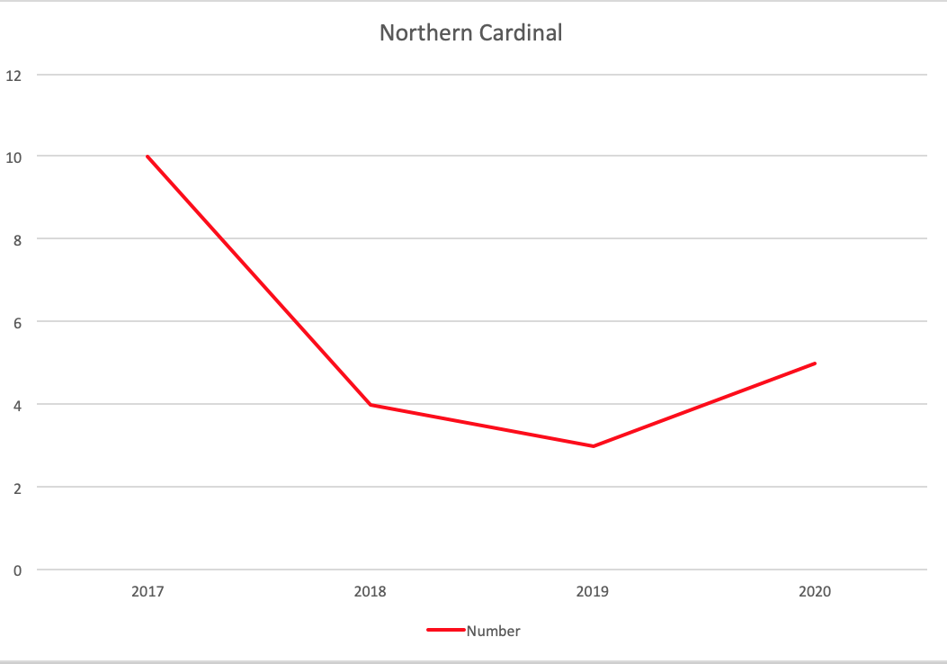 A graph showing Northern Cardinal trends over the four years with a low in 2019