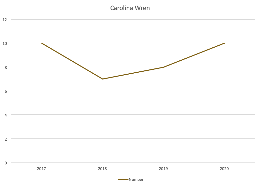 A graph showing a fairly consistent trend of Carolina Wrens over the four years