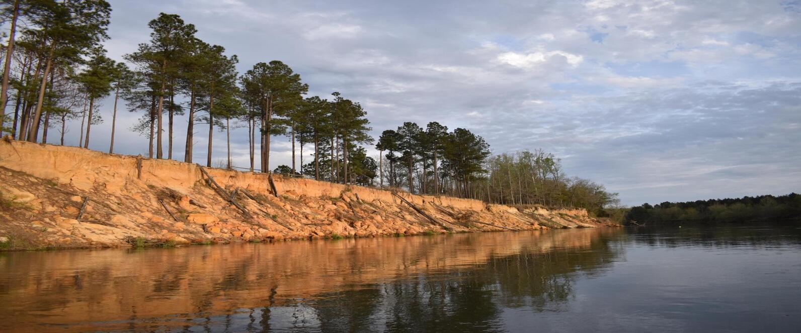 The Silver Bluff Audubon Center & Sanctuary, nestled along 2.5 miles of the Savannah River, comprises over 3,000 acres of forests, fields, lakes, ponds, and streams that support a wide variety of wildlife, including over 200 species of birds such as Wood