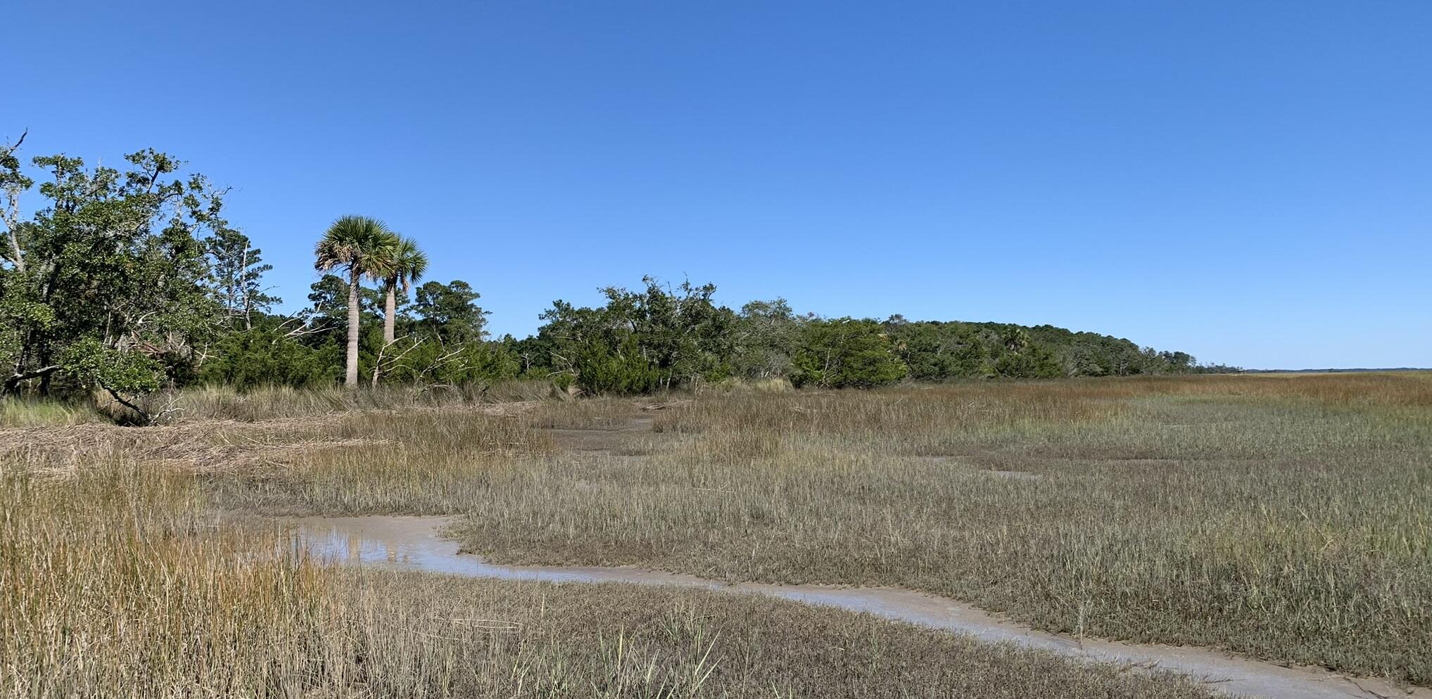 South Carolina salt marsh.