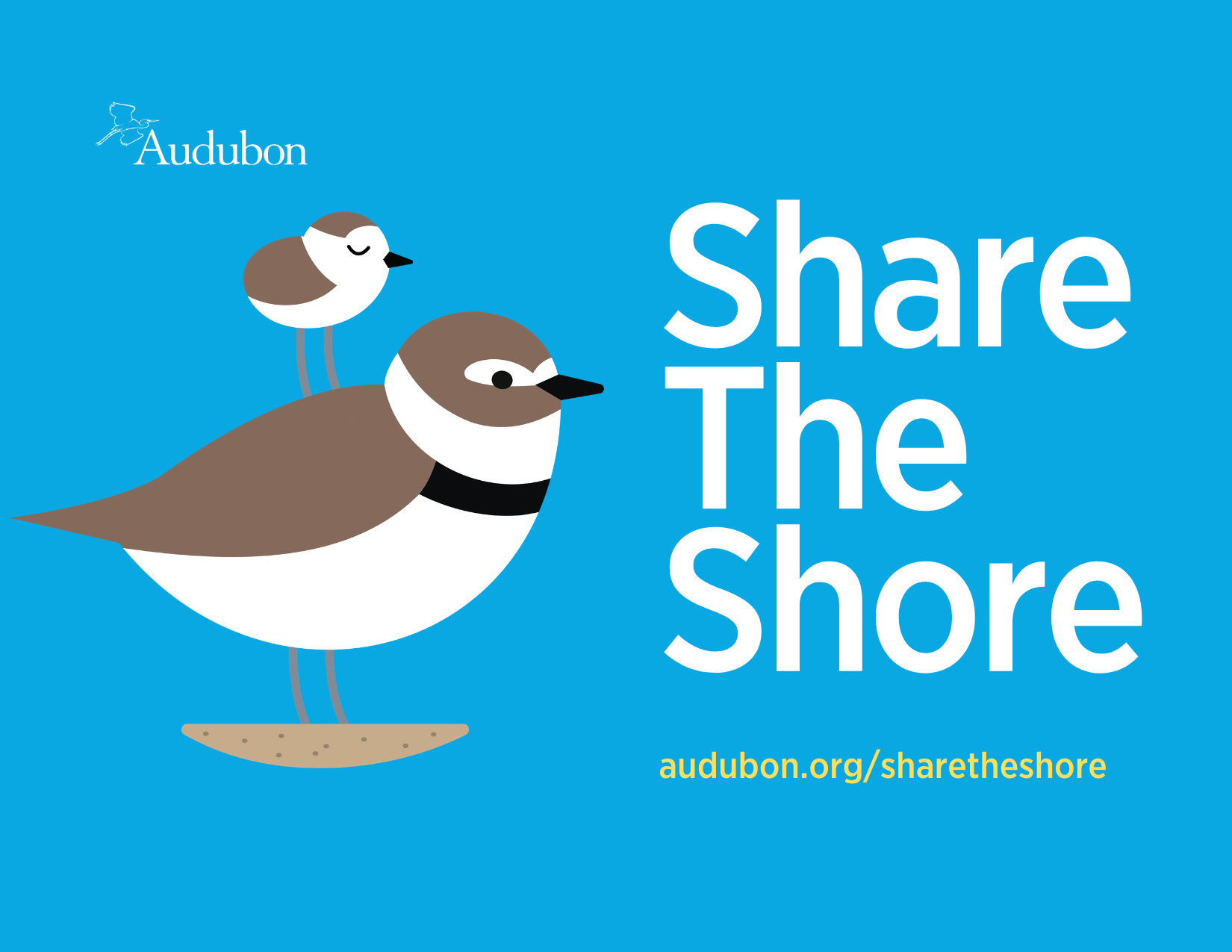 Share the Shore, plover