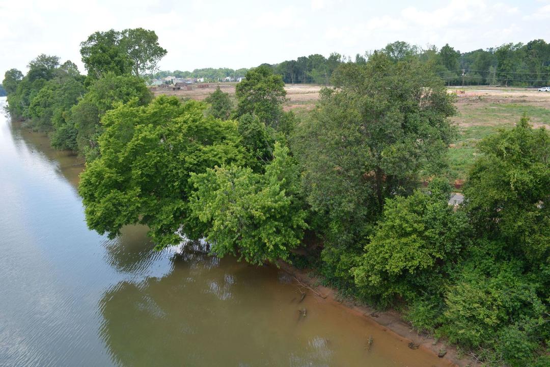 Conservation Bank Still Important | Audubon South Carolina