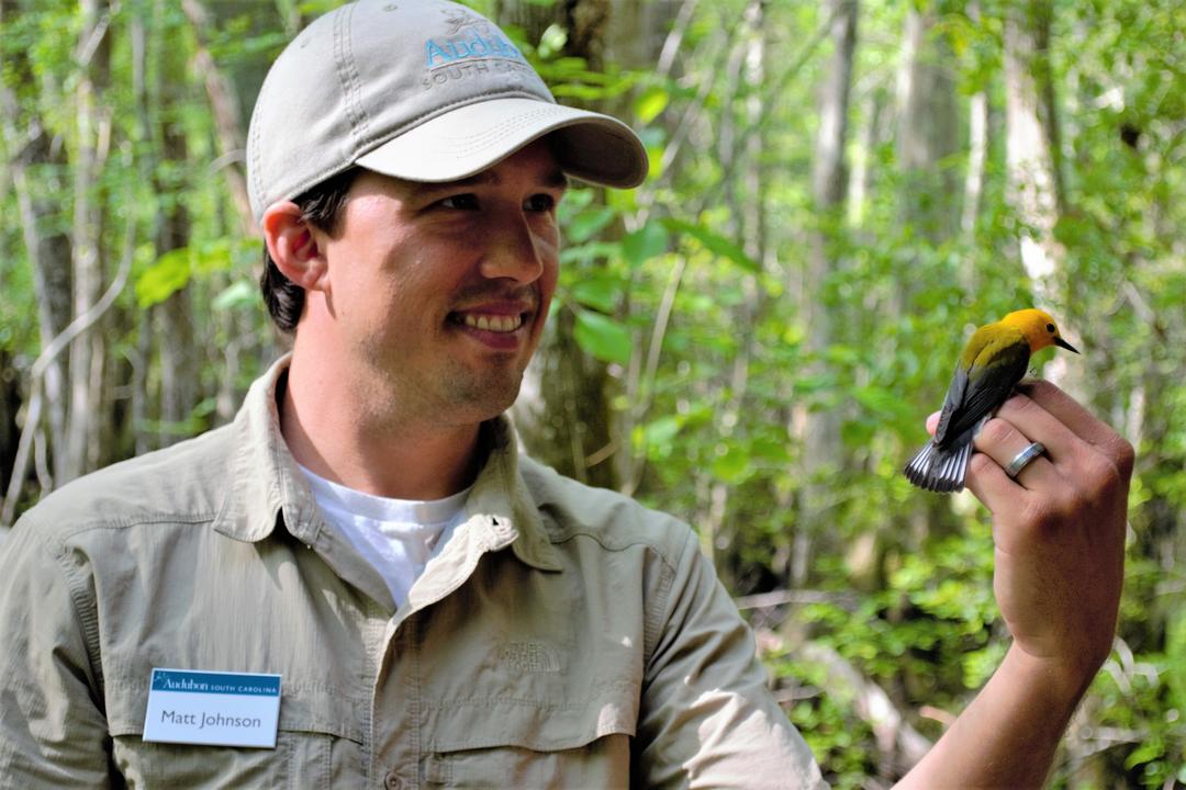 Matt Johnson holds a banded Prothonotary Warbler.